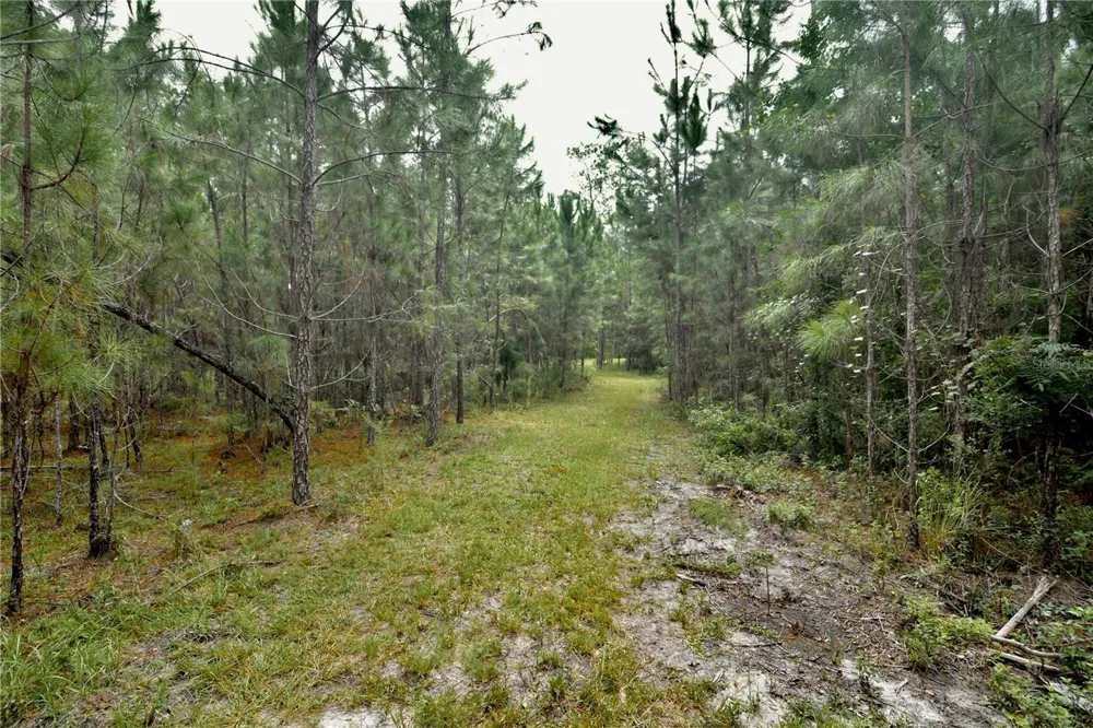 18709 NE US HIGHWAY 301 Waldo, FL 32694
