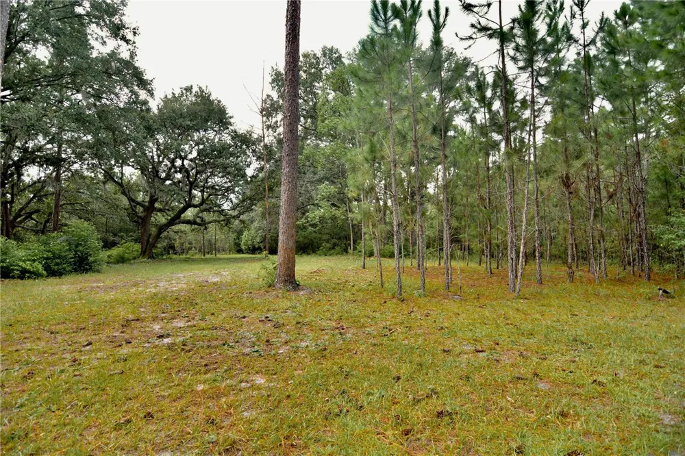 18709 NE US HIGHWAY 301 Waldo, FL 32694