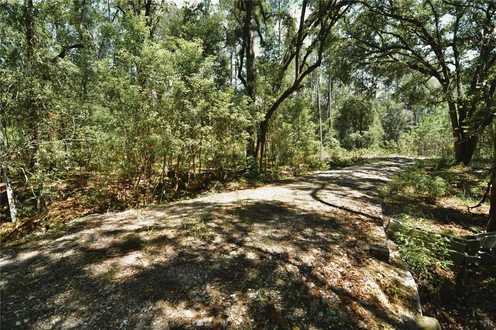 18709 NE US HIGHWAY 301 Waldo, FL 32694