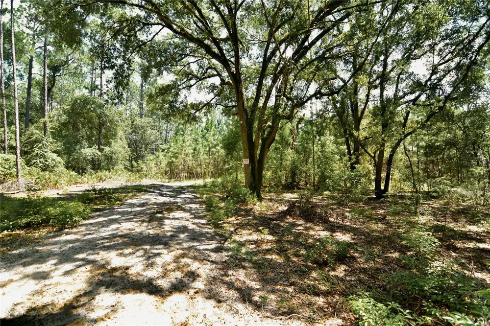 18709 NE US HIGHWAY 301 Waldo, FL 32694