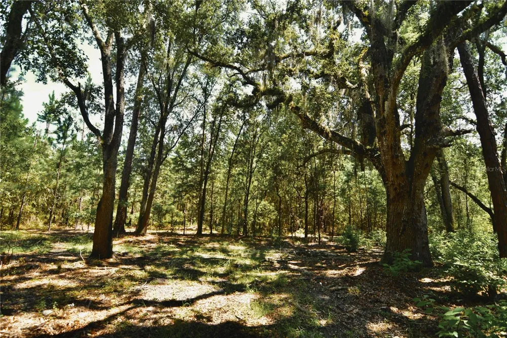 18709 NE US HIGHWAY 301 Waldo, FL 32694