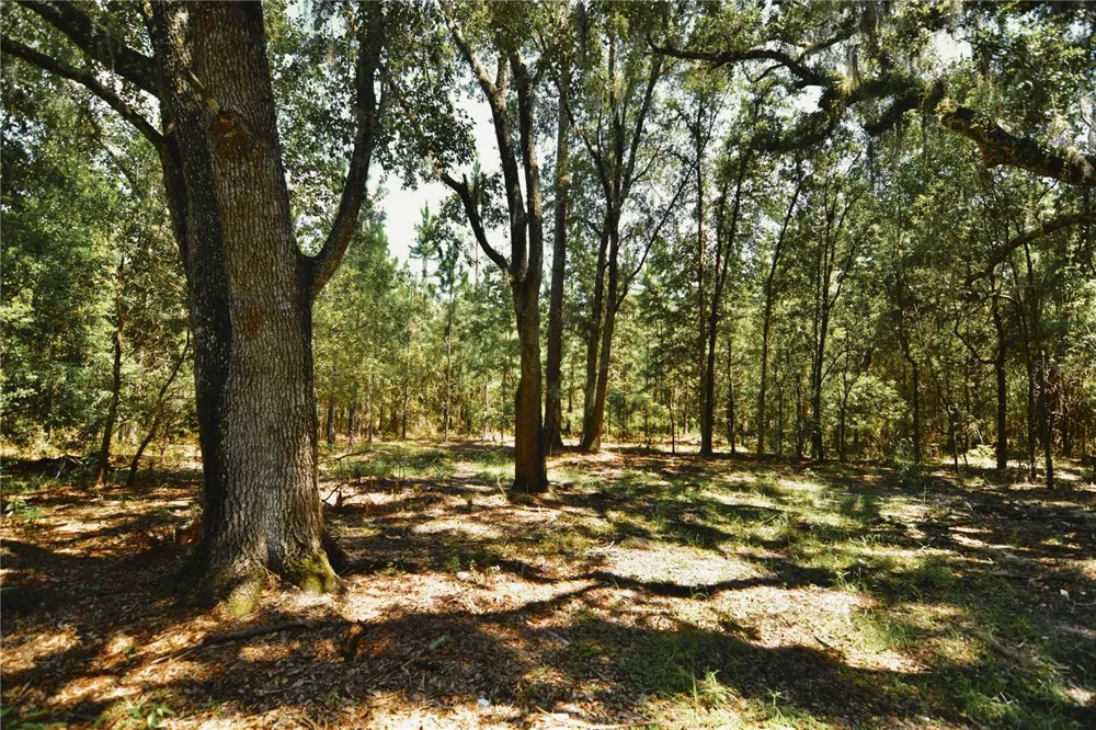 18709 NE US HIGHWAY 301 Waldo, FL 32694