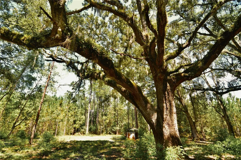 18709 NE US HIGHWAY 301 Waldo, FL 32694