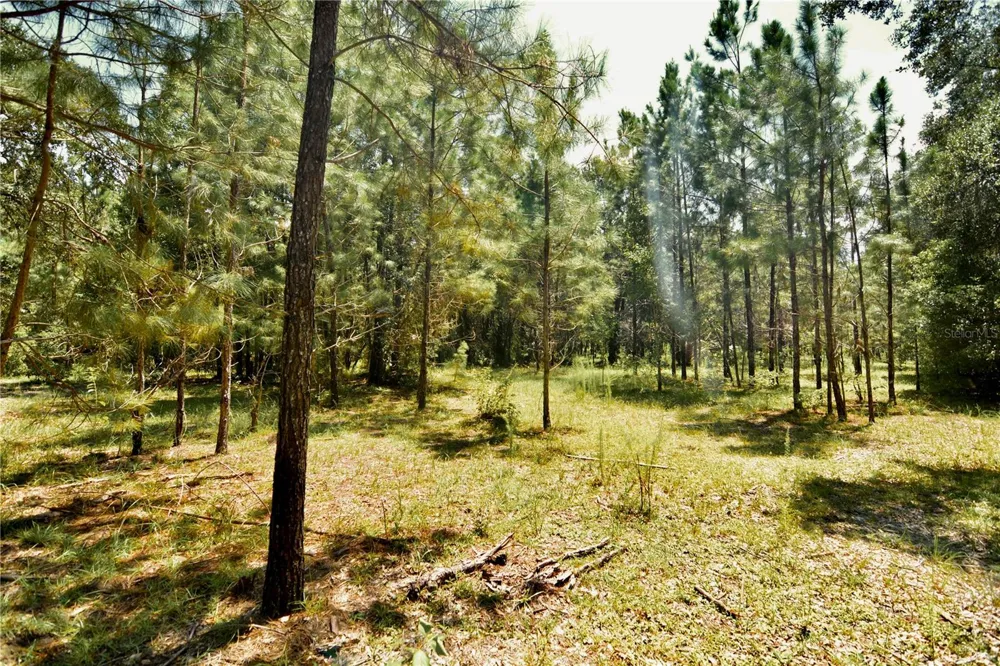 18709 NE US HIGHWAY 301 Waldo, FL 32694