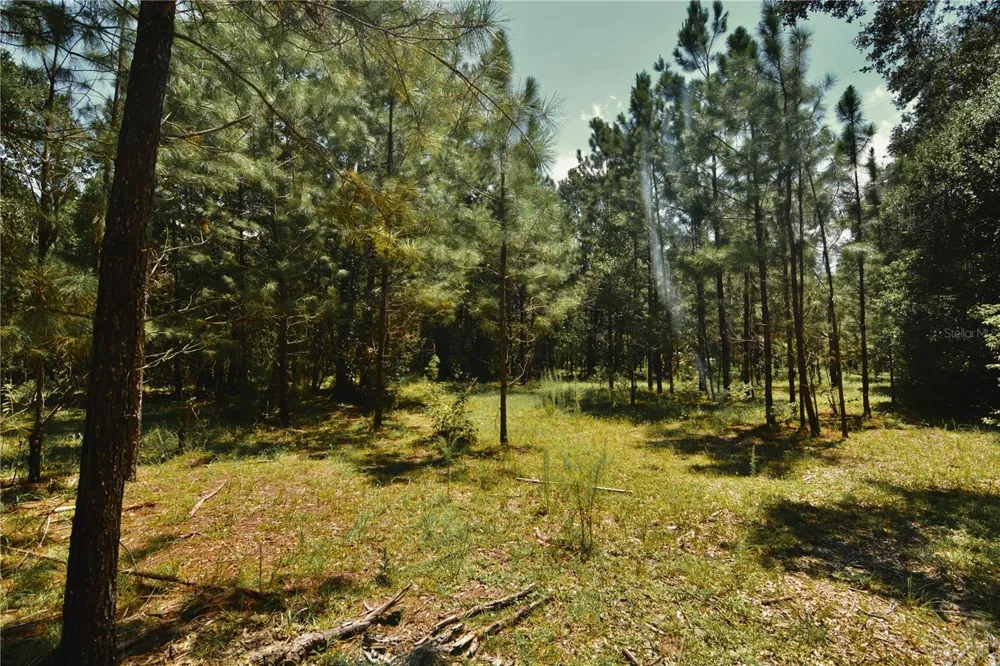 18709 NE US HIGHWAY 301 Waldo, FL 32694