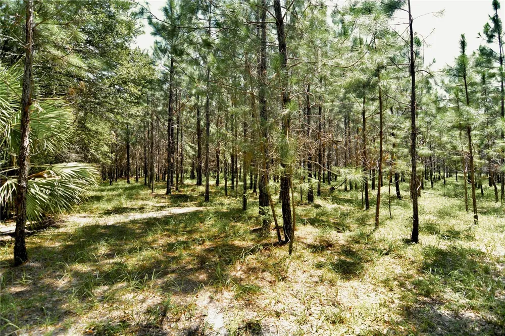 18709 NE US HIGHWAY 301 Waldo, FL 32694