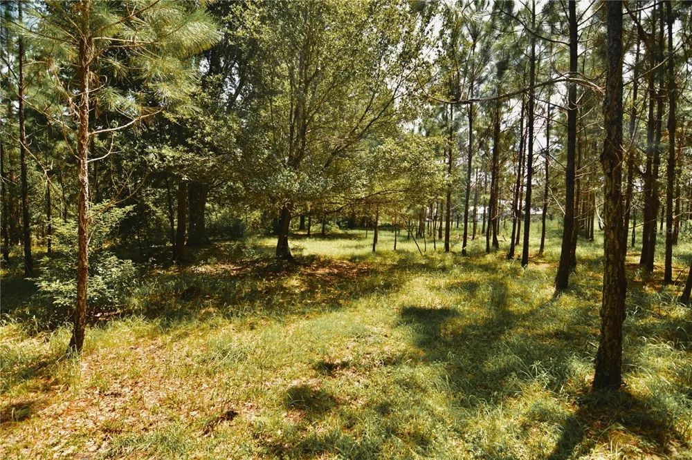 18709 NE US HIGHWAY 301 Waldo, FL 32694