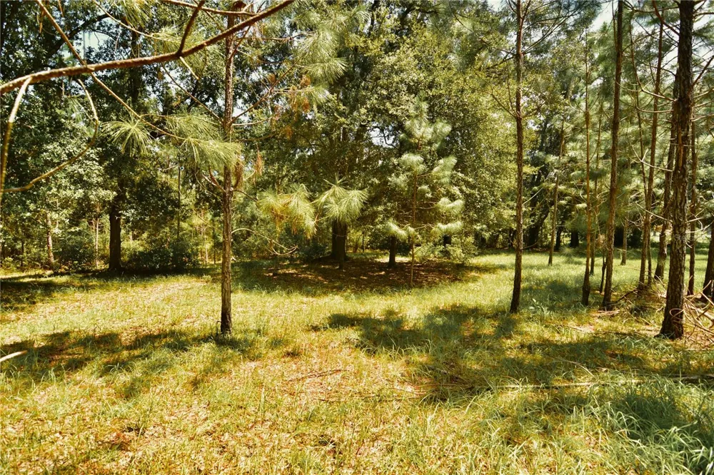 18709 NE US HIGHWAY 301 Waldo, FL 32694