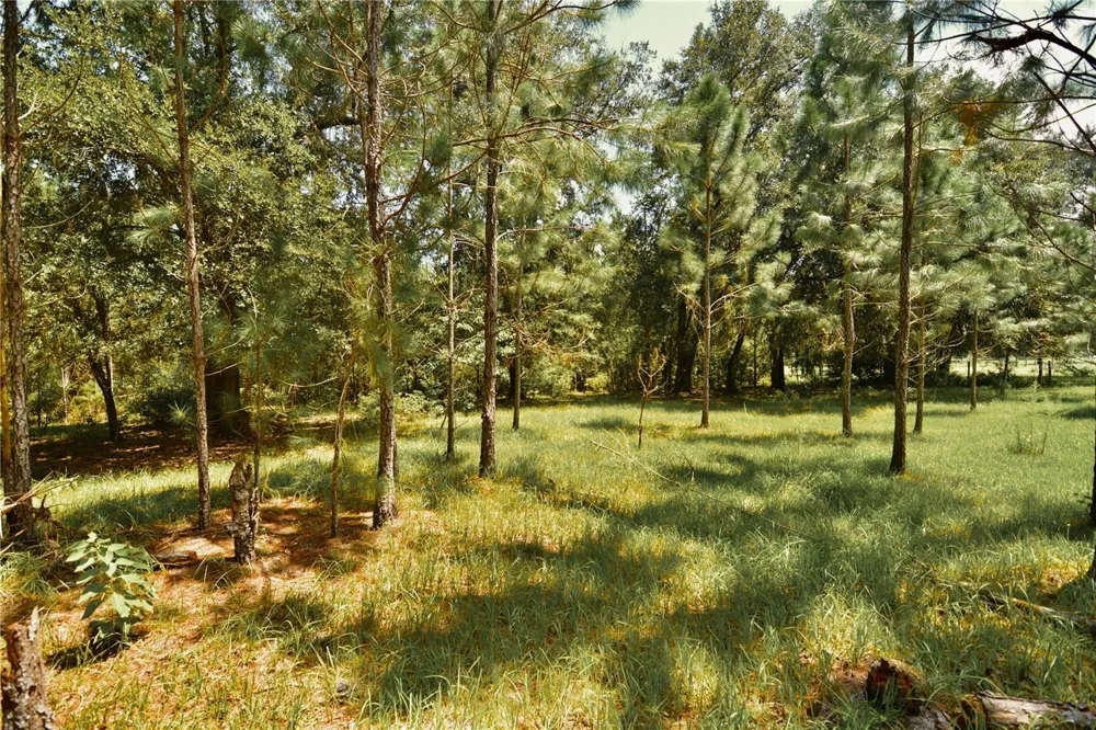 18709 NE US HIGHWAY 301 Waldo, FL 32694