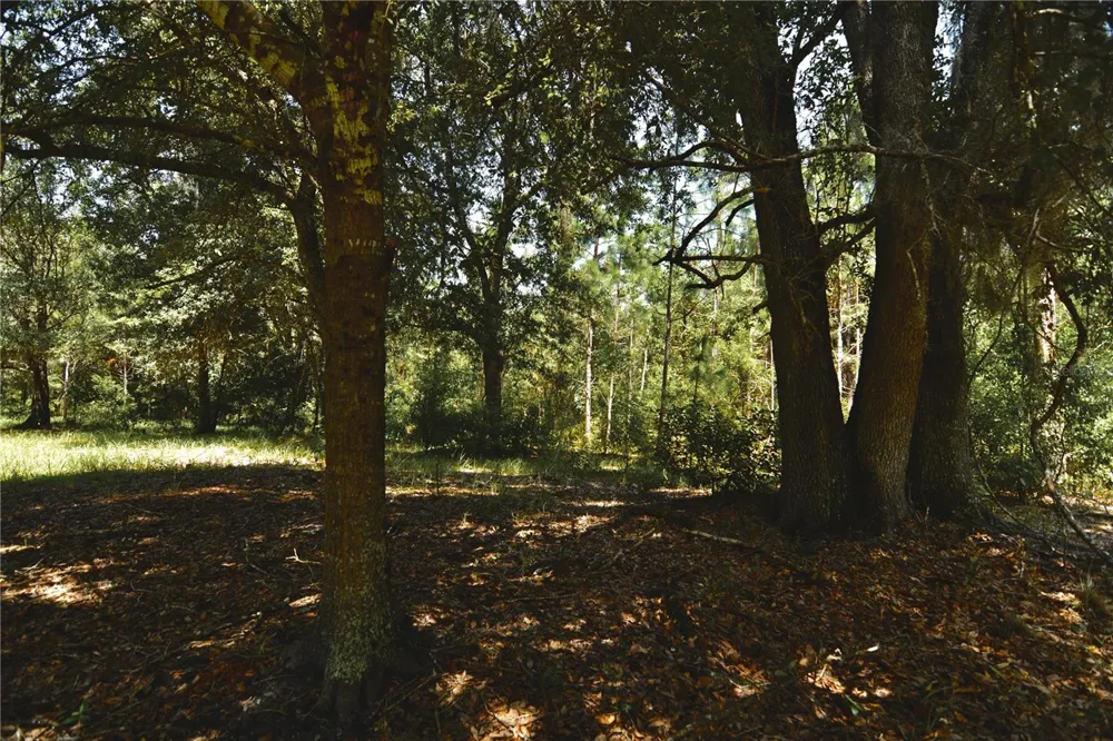 18709 NE US HIGHWAY 301 Waldo, FL 32694