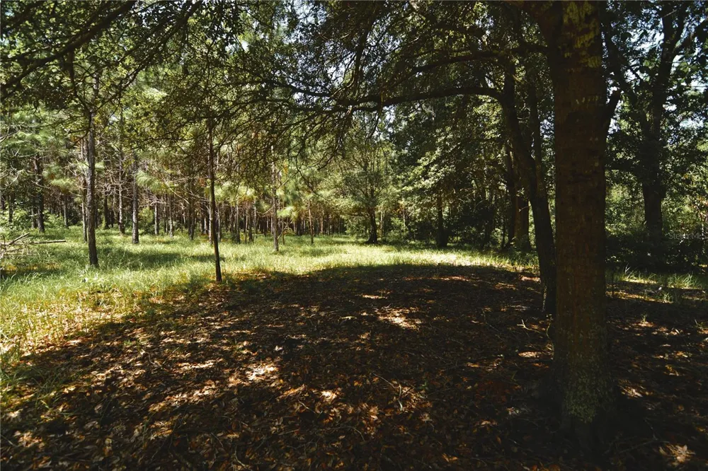 18709 NE US HIGHWAY 301 Waldo, FL 32694