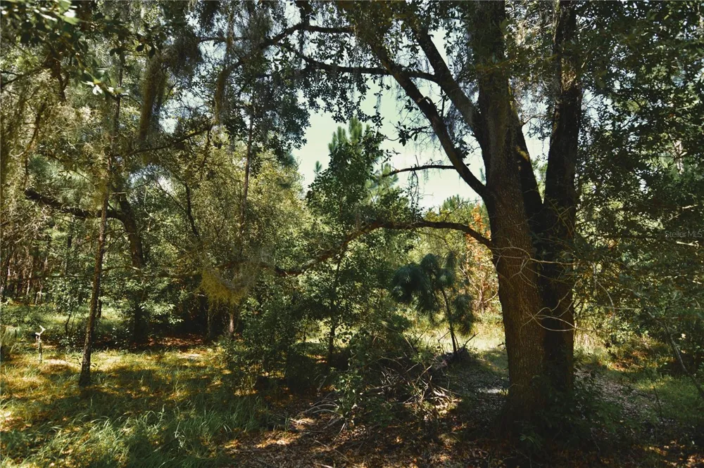 18709 NE US HIGHWAY 301 Waldo, FL 32694