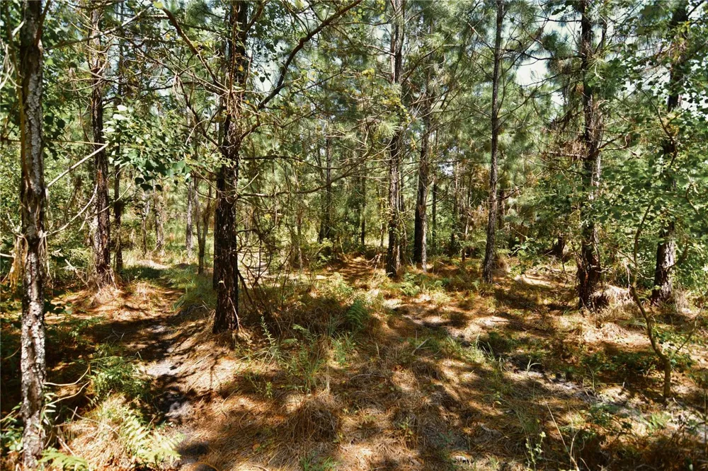 18709 NE US HIGHWAY 301 Waldo, FL 32694