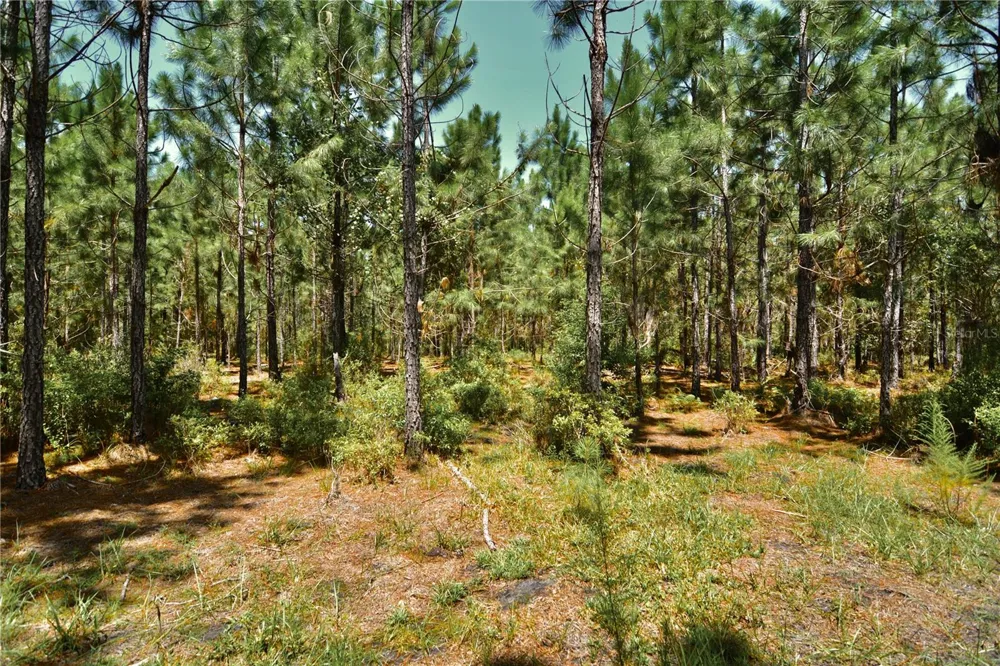 18709 NE US HIGHWAY 301 Waldo, FL 32694