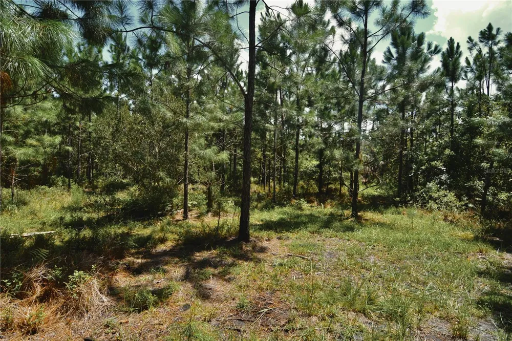 18709 NE US HIGHWAY 301 Waldo, FL 32694