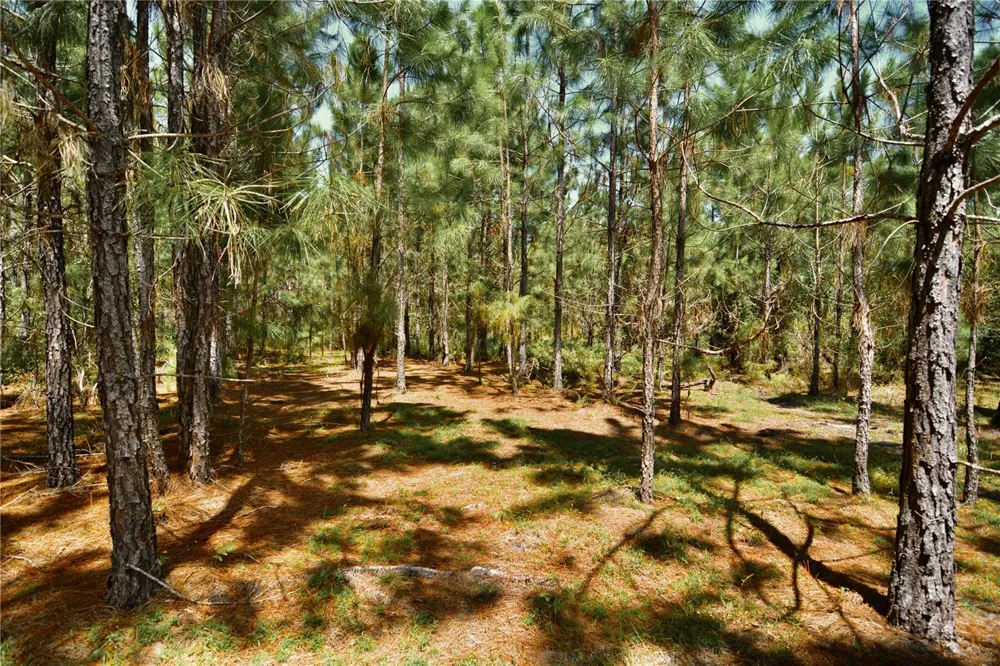 18709 NE US HIGHWAY 301 Waldo, FL 32694