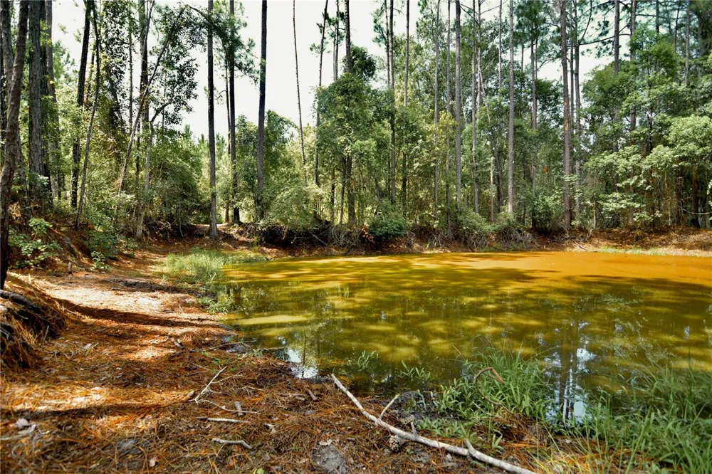 18709 NE US HIGHWAY 301 Waldo, FL 32694
