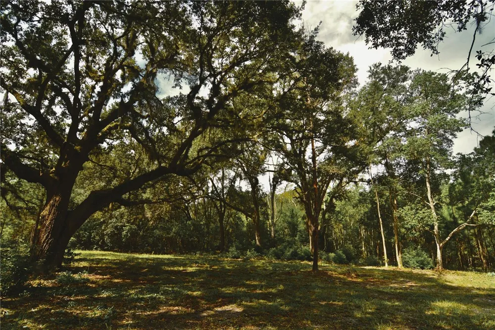 18709 NE US HIGHWAY 301 Waldo, FL 32694