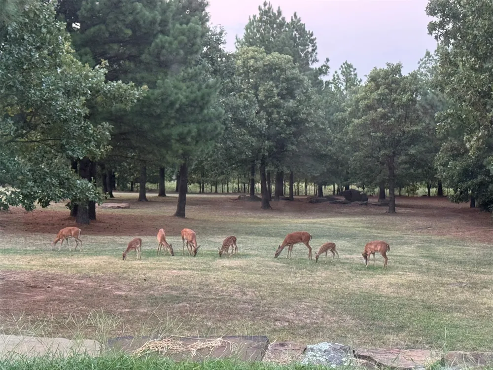 30150 S County Road 4430 Stigler, OK 74462