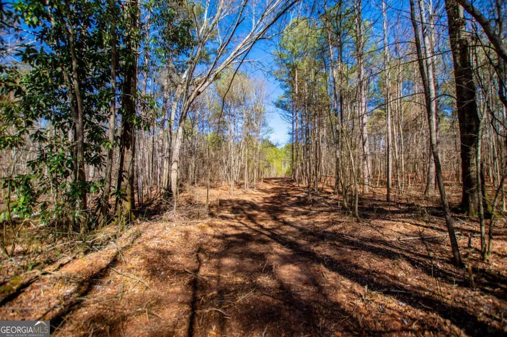 0 Hwy 166 E - 21+ acres E Bowdon, GA 30108