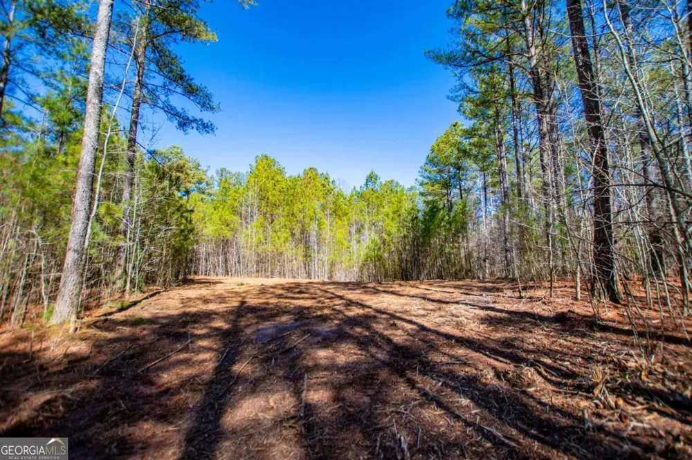 0 Hwy 166 E - 21+ acres E Bowdon, GA 30108