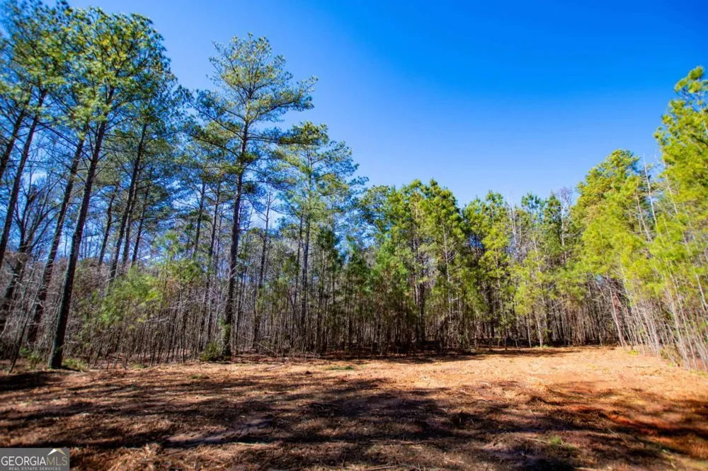 0 Hwy 166 E - 21+ acres E Bowdon, GA 30108