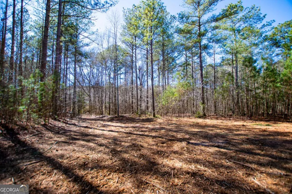 0 Hwy 166 E - 21+ acres E Bowdon, GA 30108