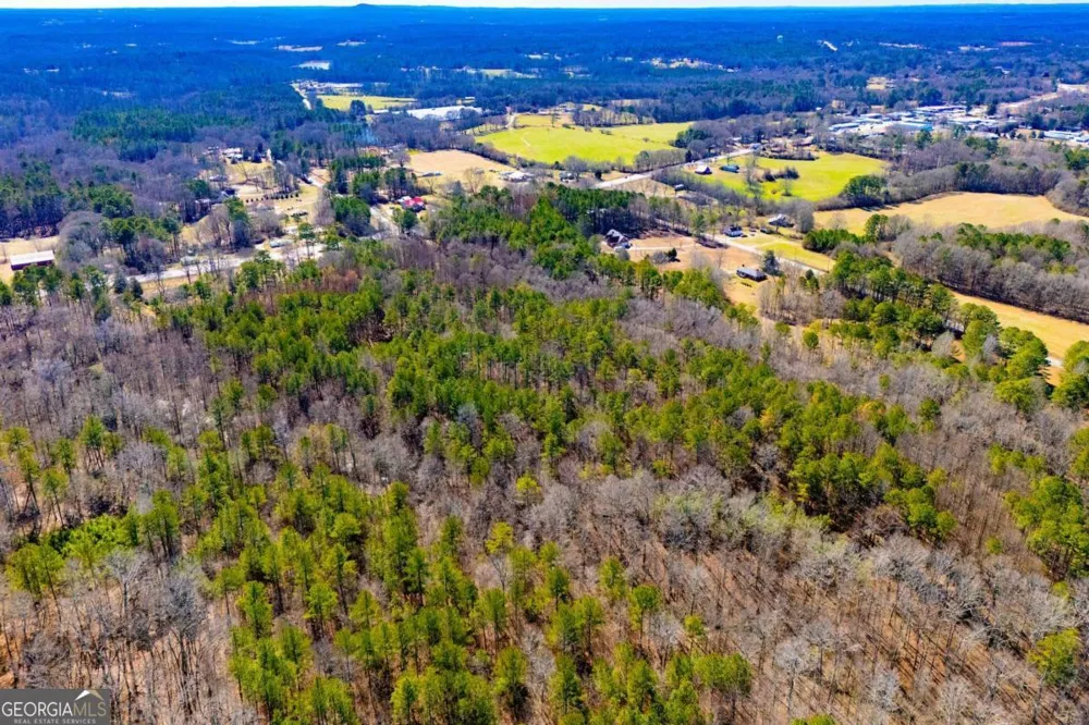 0 Hwy 166 E - 21+ acres E Bowdon, GA 30108