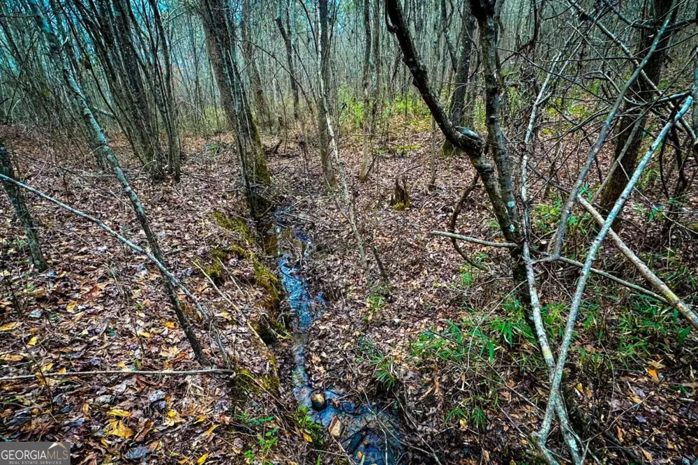 0 Hwy 166 E - 21+ acres E Bowdon, GA 30108