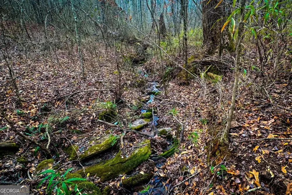 0 Hwy 166 E - 21+ acres E Bowdon, GA 30108