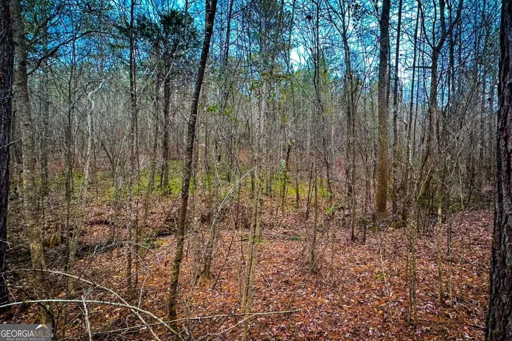 0 Hwy 166 E - 21+ acres E Bowdon, GA 30108