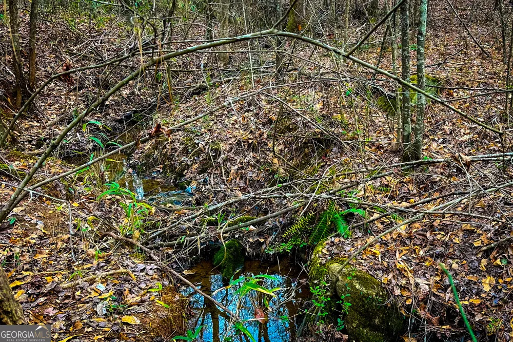 0 Hwy 166 E - 21+ acres E Bowdon, GA 30108