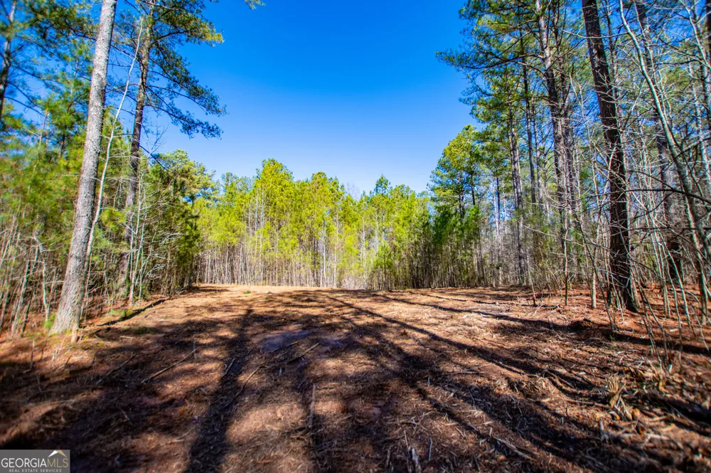 0 Hwy 166 E - 21+ acres E Bowdon, GA 30108