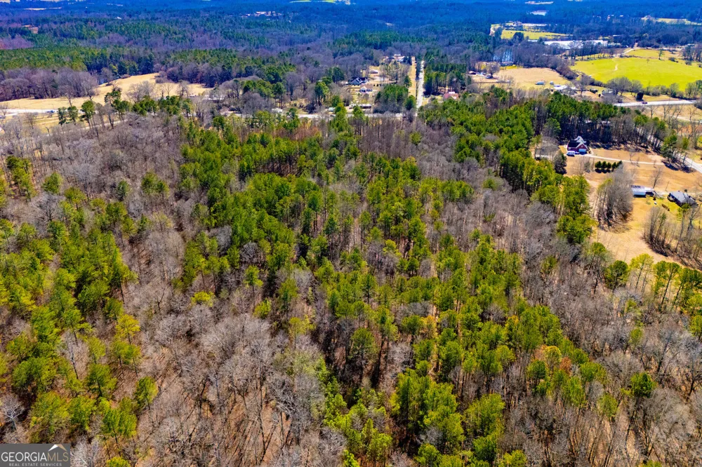 0 Hwy 166 E - 21+ acres E Bowdon, GA 30108