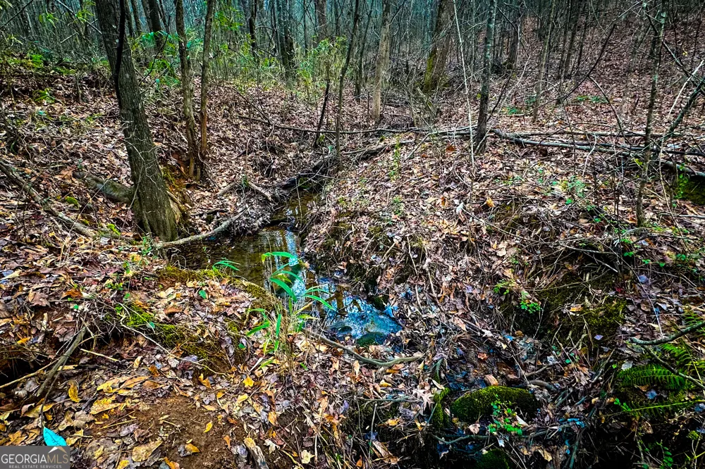 0 Hwy 166 E - 21+ acres E Bowdon, GA 30108