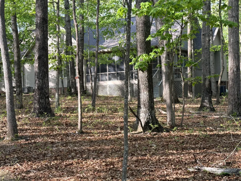 1629 Clifftops Ave Monteagle, TN 37356