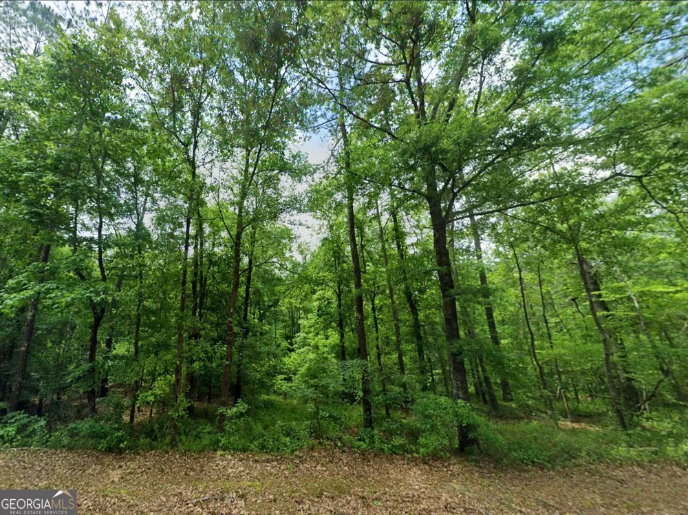 0 OLD EATONTON Sparta, GA 31087