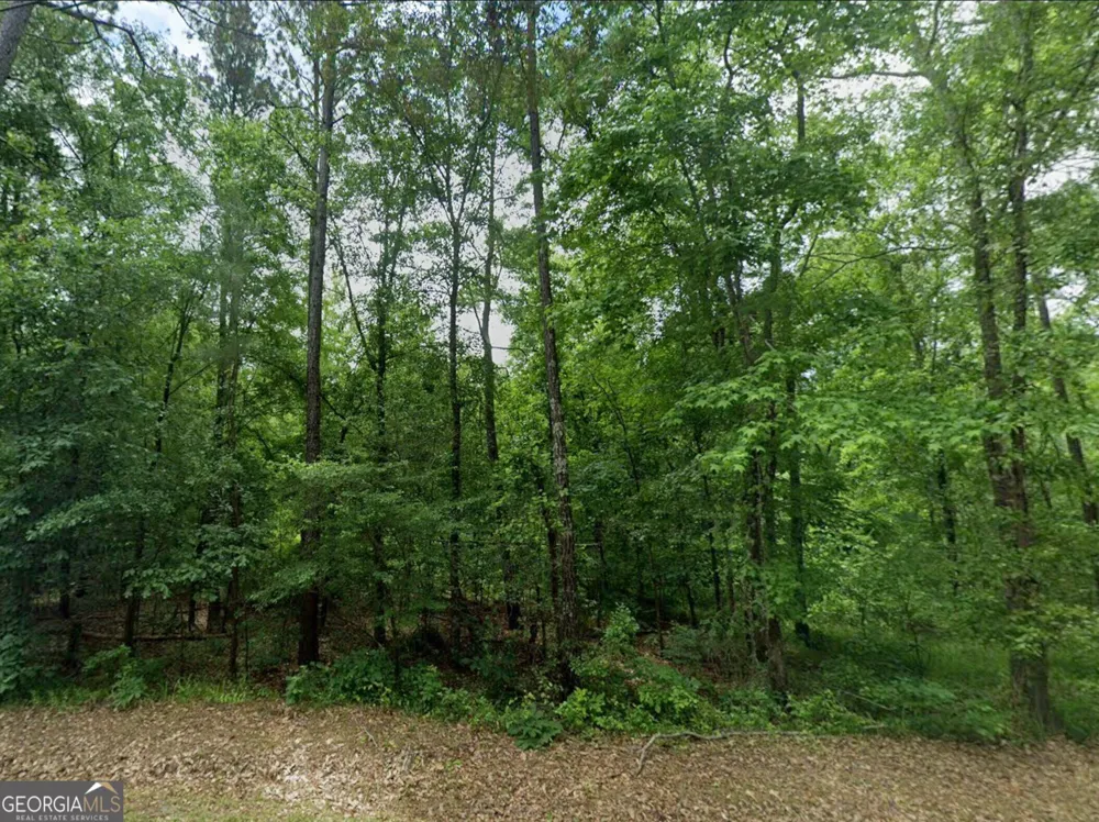 0 OLD EATONTON Sparta, GA 31087