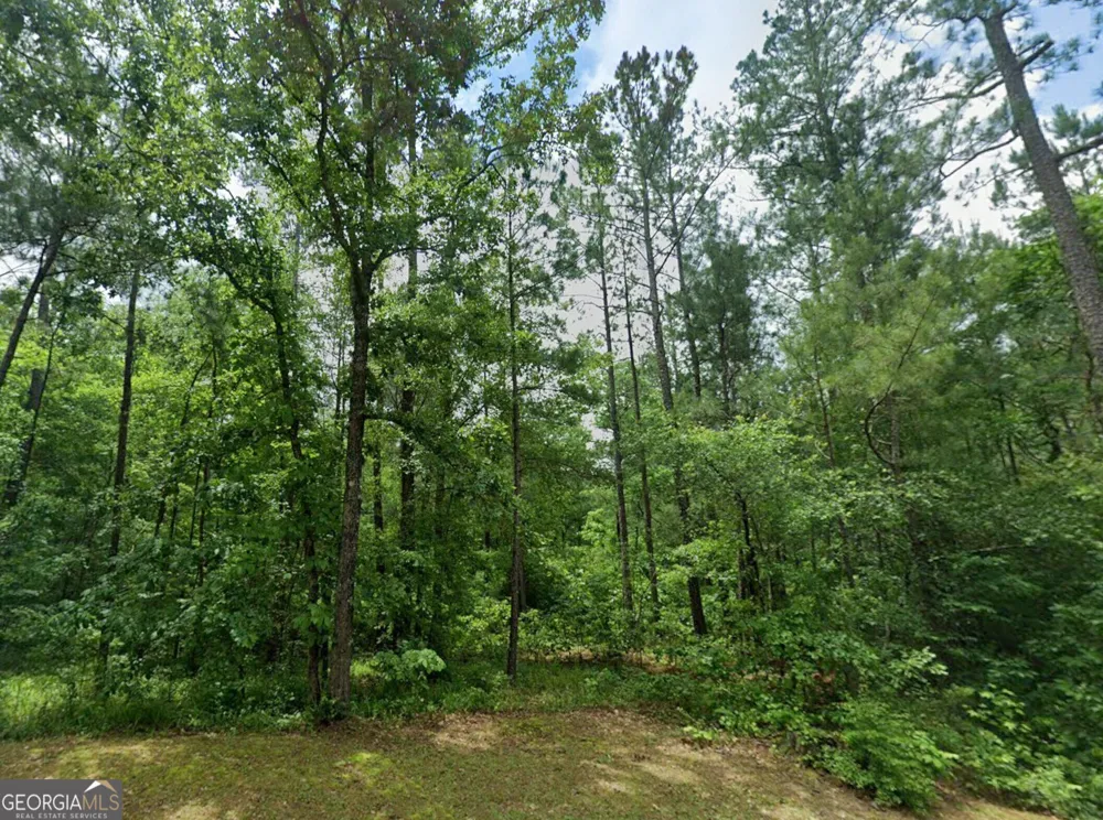 0 OLD EATONTON Sparta, GA 31087