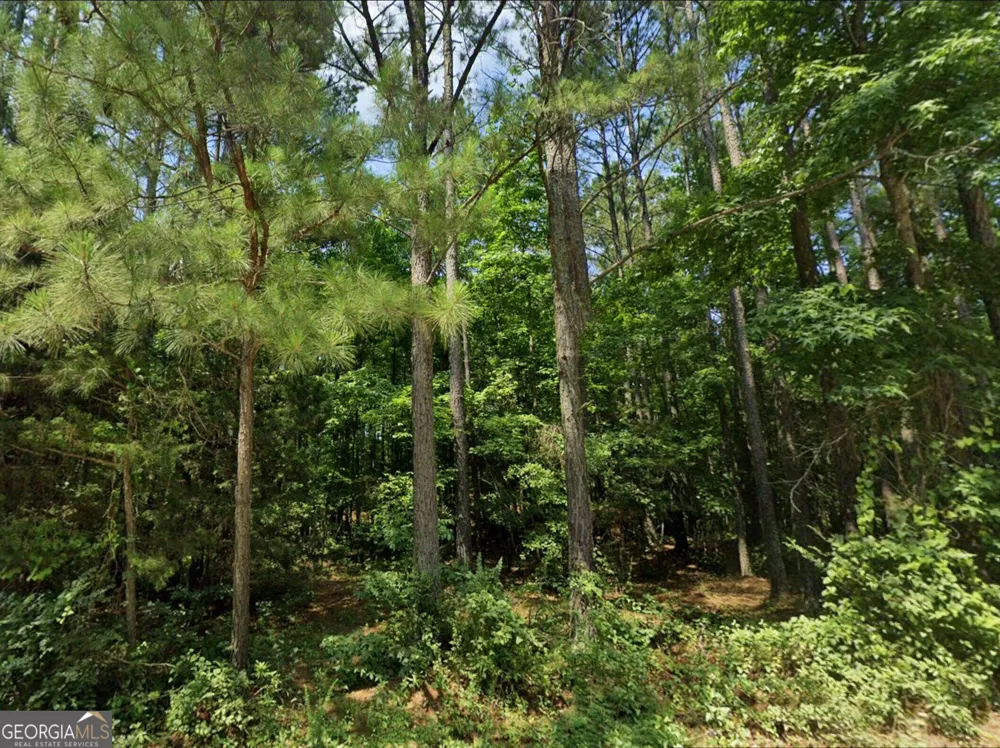 0 OLD EATONTON Sparta, GA 31087
