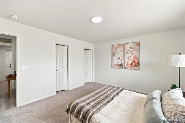 1124 E Lilac Court Pueblo West, CO 81007