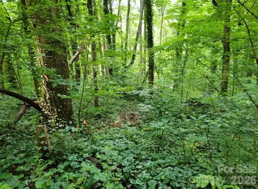0 Rock Broad River Road #21 Hendersonville, NC 28792