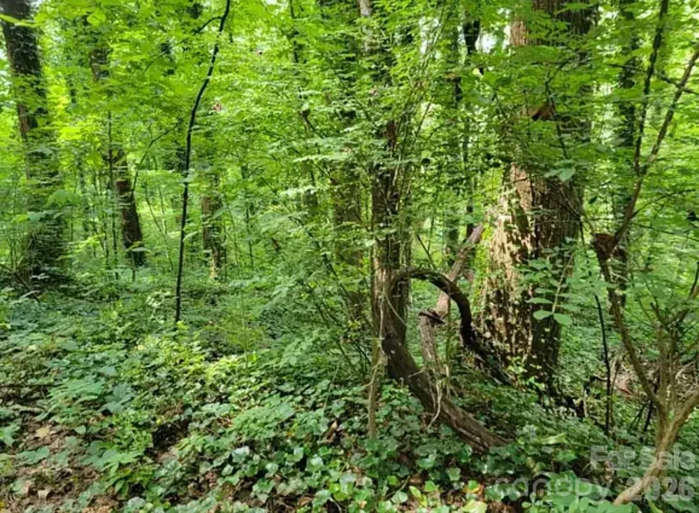 0 Rock Broad River Road #21 Hendersonville, NC 28792