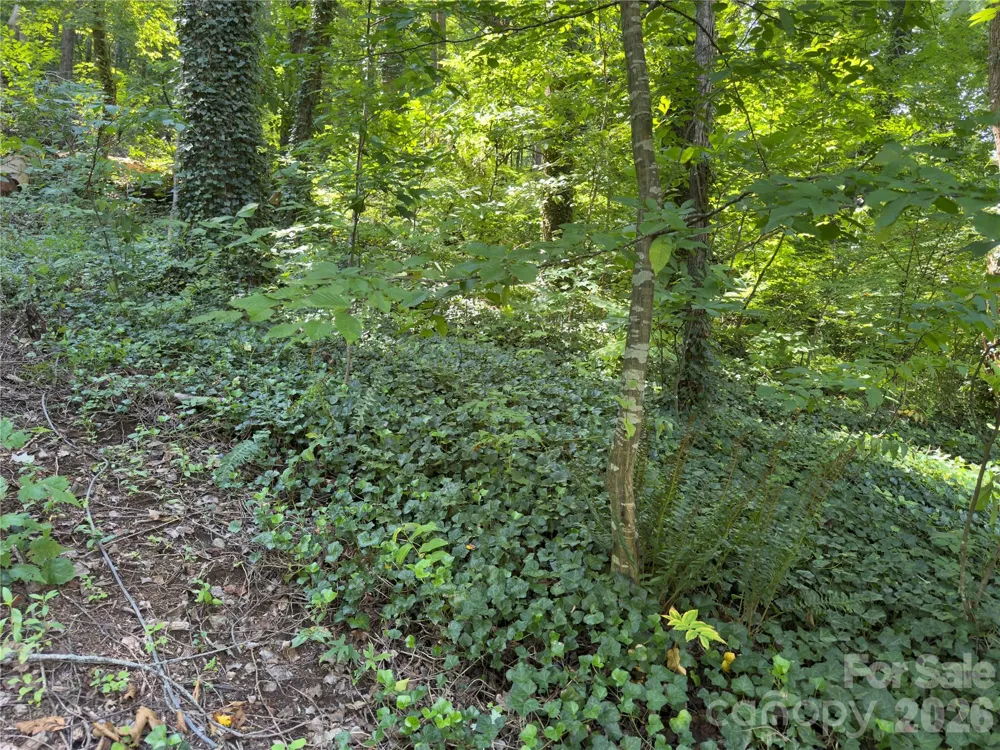 0 Rock Broad River Road #21 Hendersonville, NC 28792