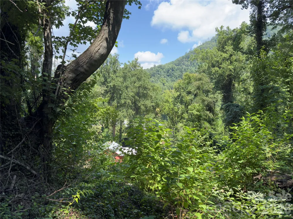0 Rock Broad River Road #21 Hendersonville, NC 28792