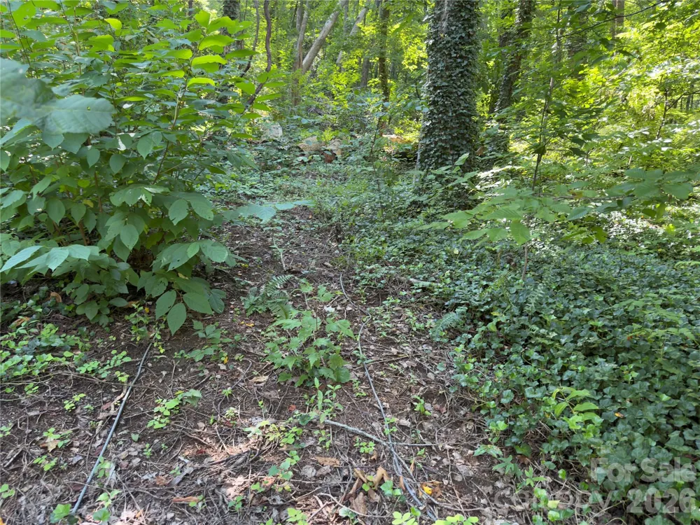 0 Rock Broad River Road #21 Hendersonville, NC 28792