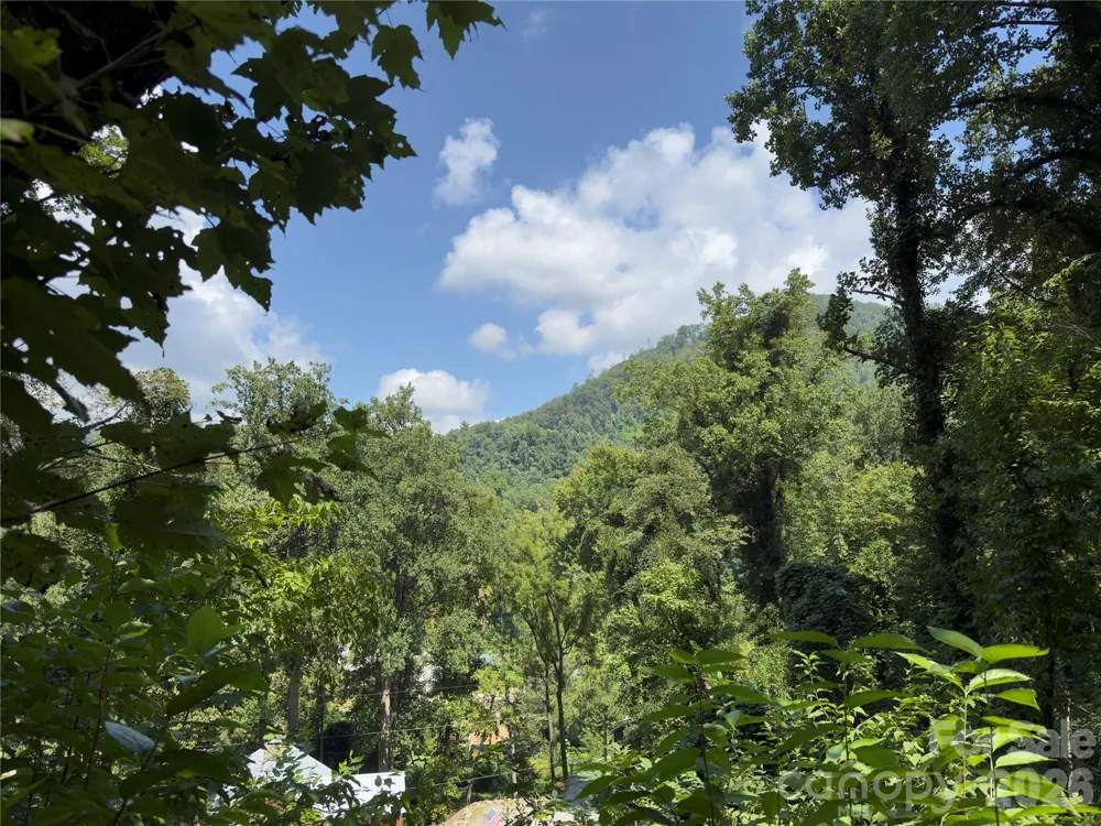 0 Rock Broad River Road #21 Hendersonville, NC 28792
