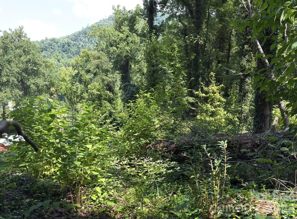 0 Rock Broad River Road #21 Hendersonville, NC 28792