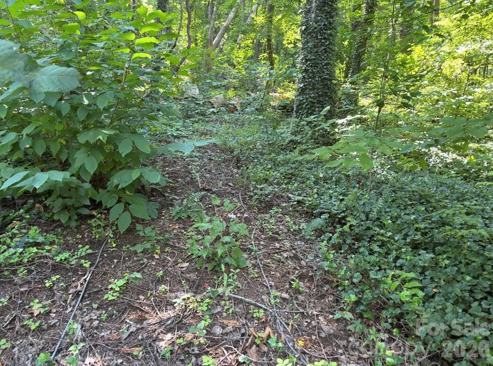0 Rock Broad River Road #21 Hendersonville, NC 28792