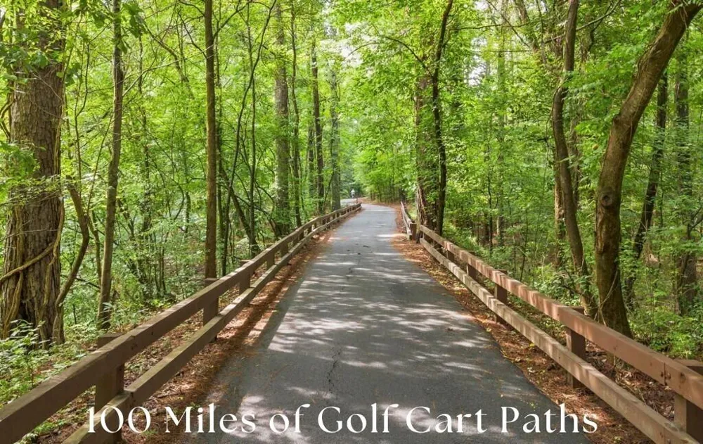 910 Laurel Brooke Avenue Peachtree City, GA 30269